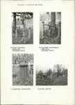Karta cmentarza, skan nr 6