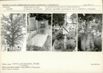 Karta cmentarza, skan nr 6