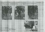Karta cmentarza, skan nr 5
