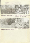 Karta cmentarza, skan nr 5