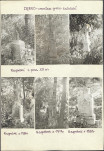 Karta cmentarza, skan nr 8