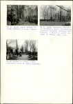 Karta cmentarza, skan nr 16