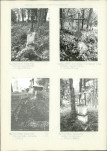 Karta cmentarza, skan nr 7