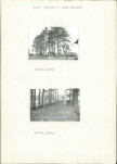 KC - Karta cmentarza, skan nr 5
