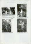 Karta cmentarza, skan nr 5