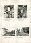 Karta cmentarza, skan nr 5