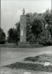 Karta cmentarza, skan nr 23