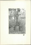 Karta cmentarza, skan nr 16