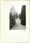Karta cmentarza, skan nr 7