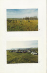 Karta cmentarza, skan nr 5
