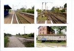 Karta biała, skan nr 20