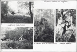 Karta cmentarza, skan nr 6
