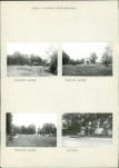 Karta cmentarza, skan nr 16