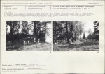 Karta cmentarza, skan nr 5