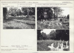 Karta cmentarza, skan nr 6