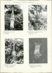 Karta cmentarza, skan nr 6