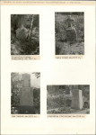 Karta cmentarza, skan nr 5