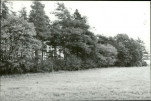 Karta cmentarza, skan nr 5