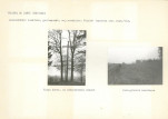 Karta cmentarza, skan nr 5
