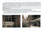 KB - Karta biała, skan nr 16