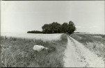 Karta cmentarza, skan nr 5