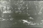 Karta cmentarza, skan nr 7