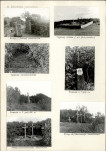 Karta cmentarza, skan nr 4