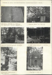 Karta cmentarza, skan nr 5