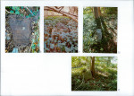 Karta cmentarza, skan nr 7