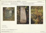 Karta cmentarza, skan nr 5