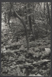 Karta cmentarza, skan nr 7