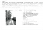 Karta biała, skan nr 8