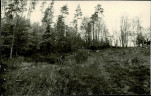 Karta cmentarza, skan nr 4