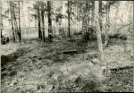 Karta cmentarza, skan nr 7