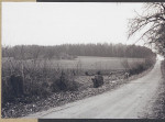 KC - Karta cmentarza, skan nr 5