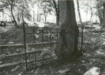Karta cmentarza, skan nr 28