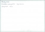 Karta cmentarza, skan nr 33