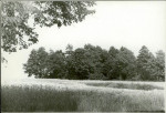 Karta cmentarza, skan nr 6