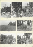 Karta cmentarza, skan nr 6