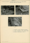 Karta cmentarza, skan nr 5