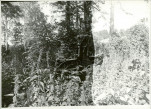 Karta cmentarza, skan nr 6