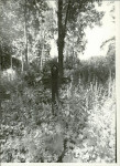 Karta cmentarza, skan nr 7