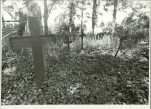 Karta cmentarza, skan nr 9