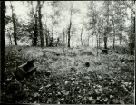Karta cmentarza, skan nr 4