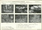 Karta cmentarza, skan nr 5