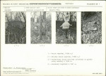 Karta cmentarza, skan nr 5