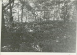Karta cmentarza, skan nr 6