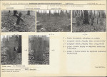 Karta cmentarza, skan nr 5