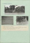 KC - Karta cmentarza, skan nr 4