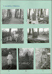 KC - Karta cmentarza, skan nr 5